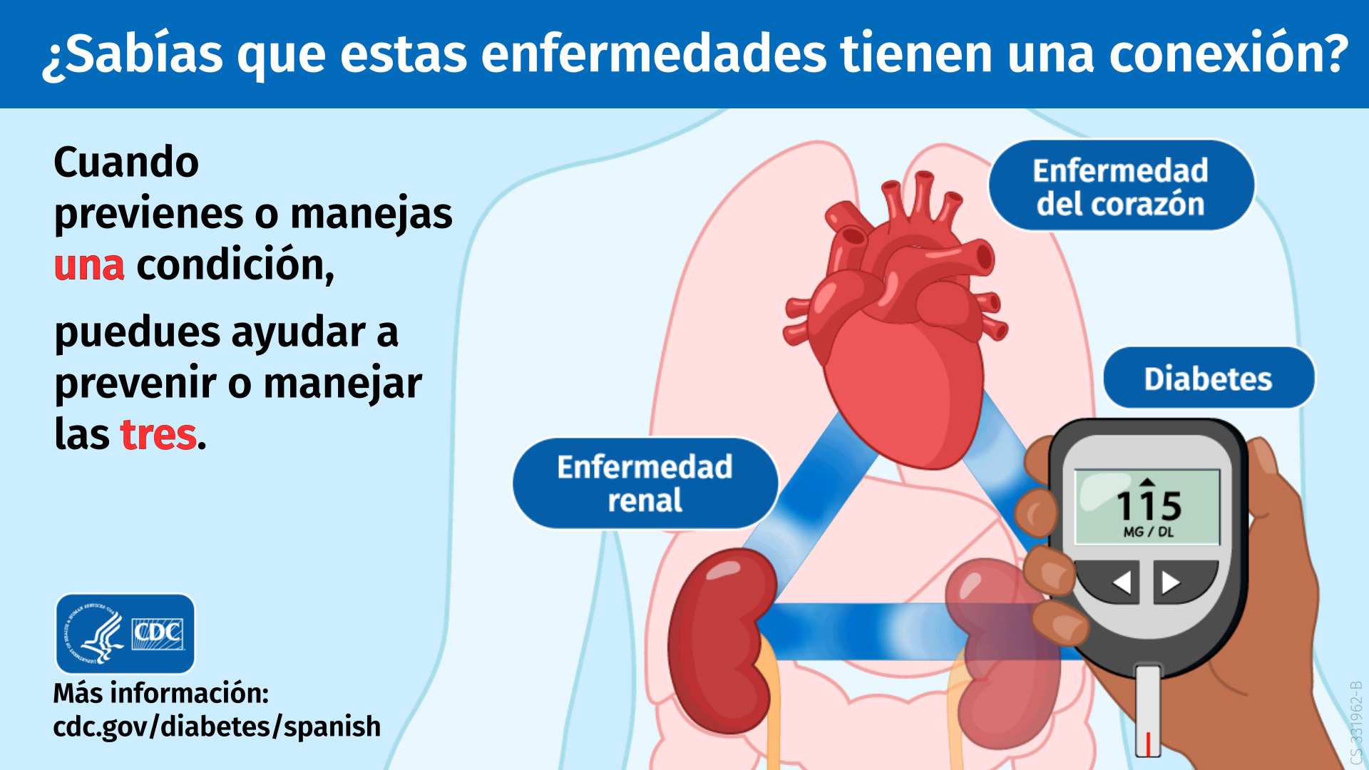 Controlando la Diabetes: Cuida tu Salud, Vive Mejor
